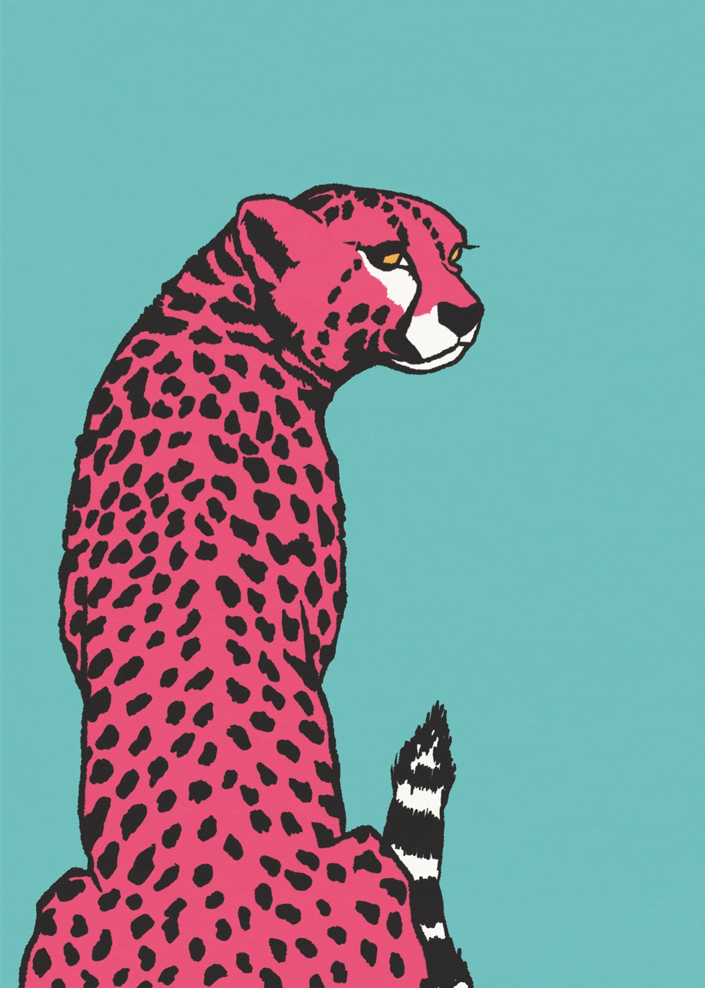 Cheetah